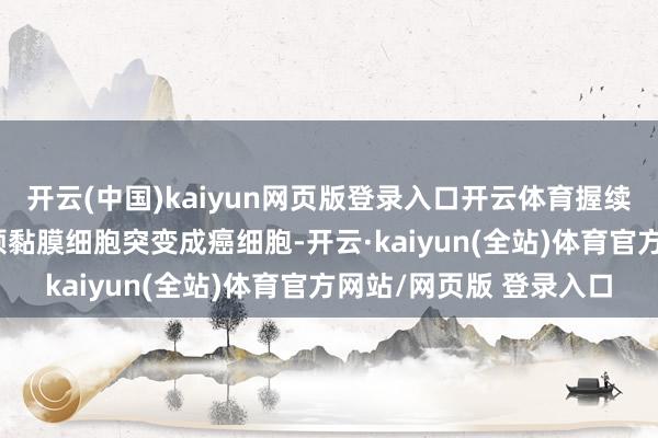 开云(中国)kaiyun网页版登录入口开云体育握续高危HPV感染会使宫颈黏膜细胞突变成癌细胞-开云·kaiyun(全站)体育官方网站/网页版 登录入口