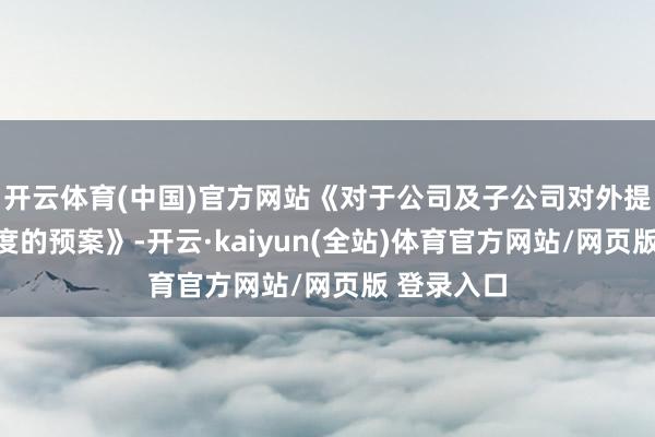 开云体育(中国)官方网站《对于公司及子公司对外提供担保额度的预案》-开云·kaiyun(全站)体育官方网站/网页版 登录入口