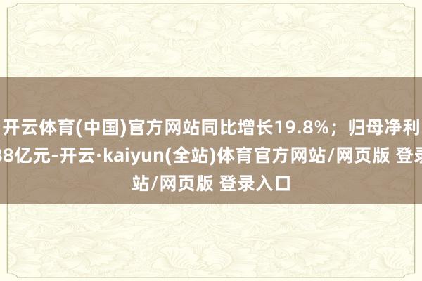 开云体育(中国)官方网站同比增长19.8%;归母净利润4.88亿元-开云·kaiyun(全站)体育官方网站/网页版 登录入口