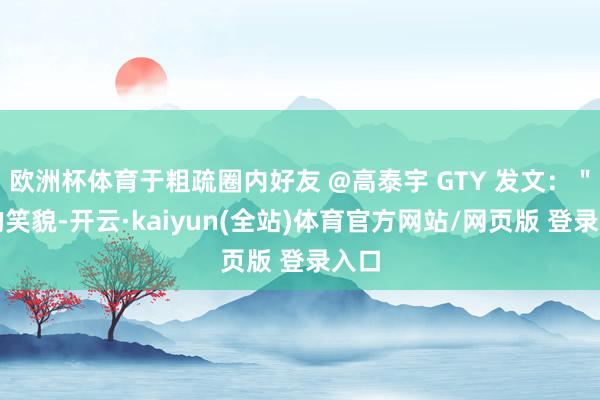 欧洲杯体育于粗疏圈内好友 @高泰宇 GTY 发文:"你的笑貌-开云·kaiyun(全站)体育官方网站/网页版 登录入口