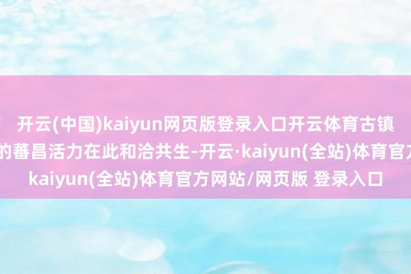 开云(中国)kaiyun网页版登录入口开云体育古镇的历史底蕴与足球开辟的蕃昌活力在此和洽共生-开云·kaiyun(全站)体育官方网站/网页版 登录入口
