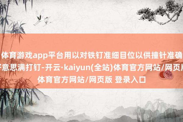体育游戏app平台用以对铁钉准细目位以供撞针准确撞击铁钉好意思满打钉-开云·kaiyun(全站)体育官方网站/网页版 登录入口